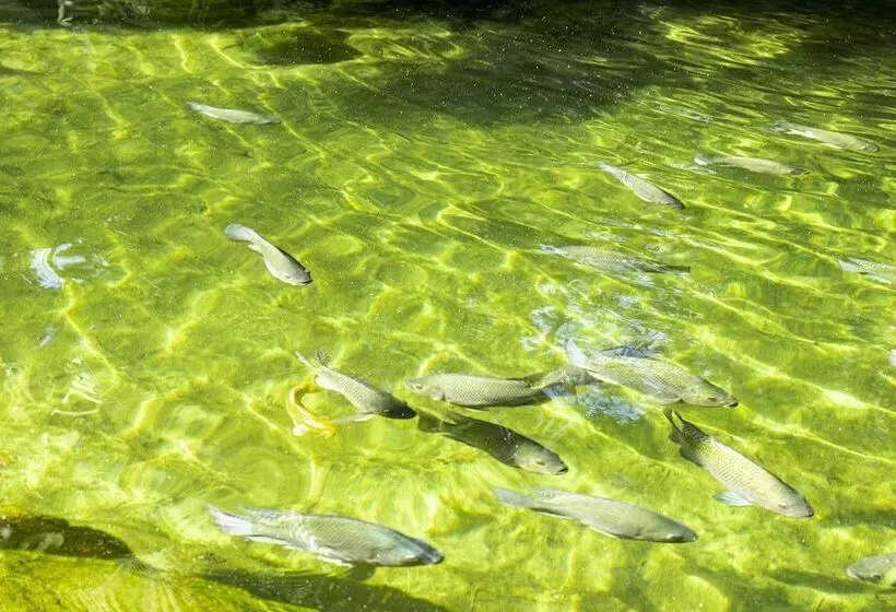 ペンション Pousada Cavaleiro Dos Pireneus