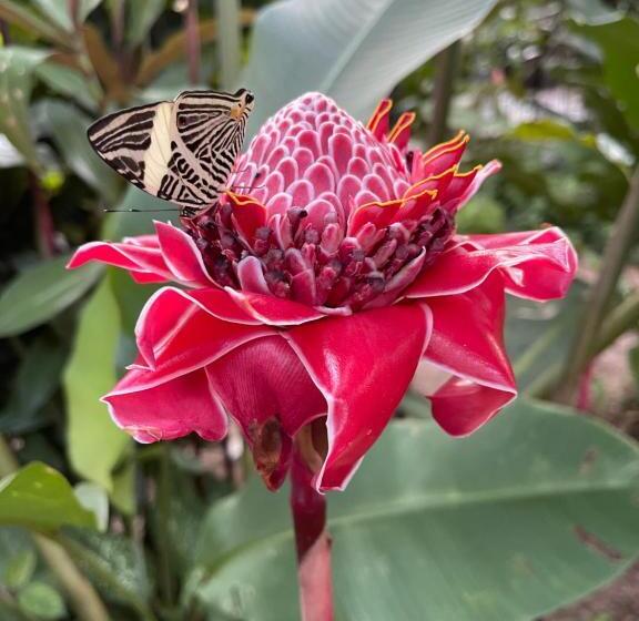 بنسيون Pousada Horizonte Azul