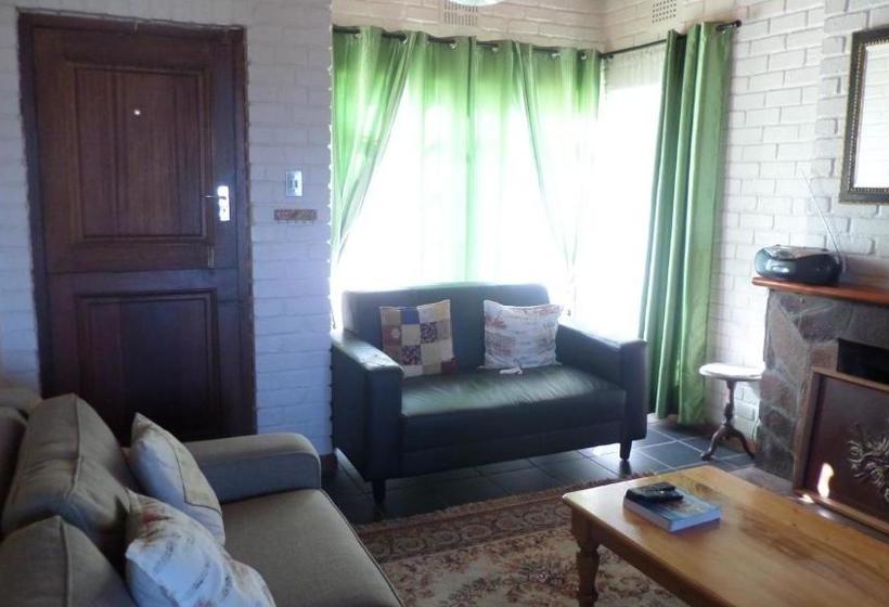 بنسيون The Wild Fig