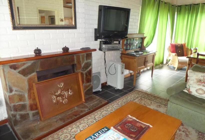 بنسيون The Wild Fig