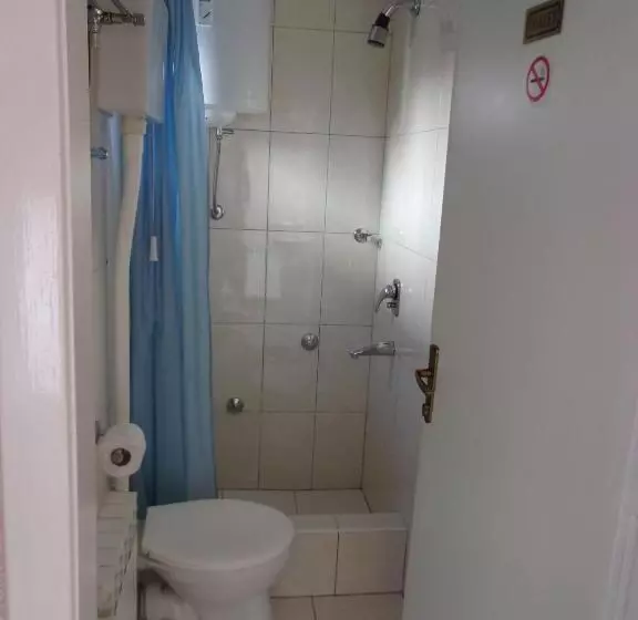 پانسیون Tower House