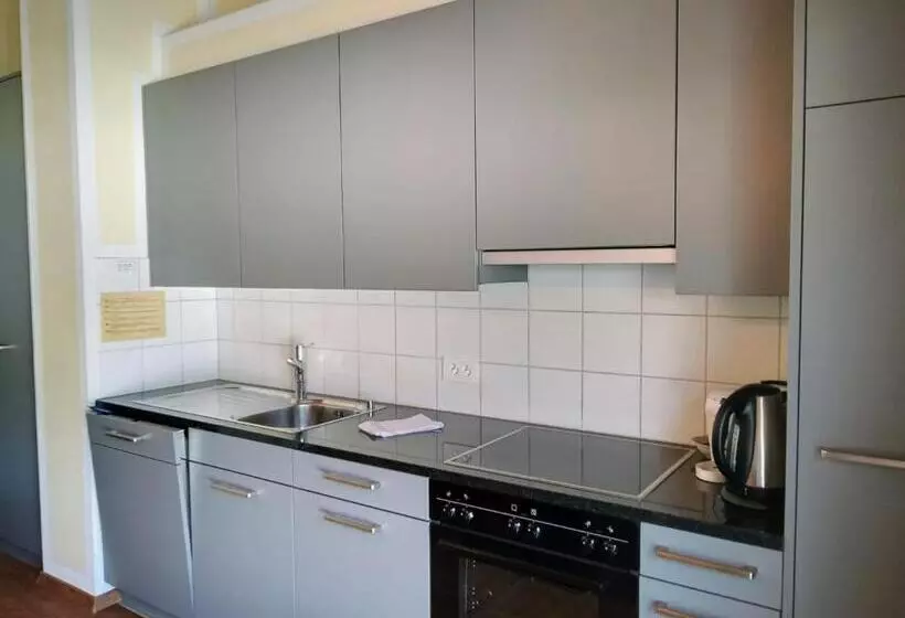 Aladin Apartments St Moritz