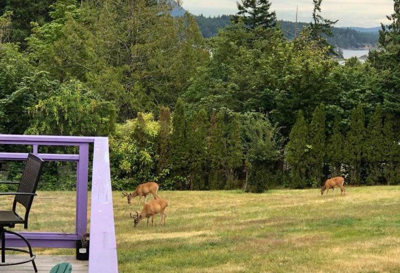 旅馆 Seabreeze Inne