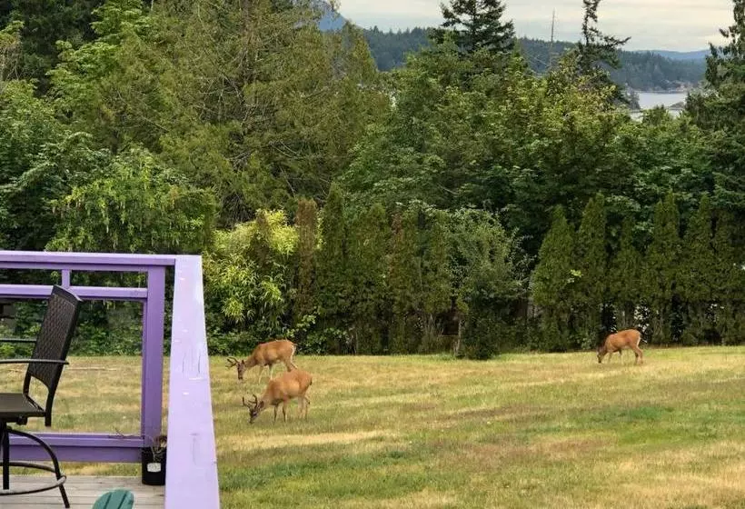 Retkeilymaja Seabreeze Inne