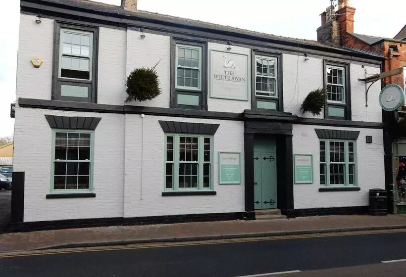 هاستل The White Swan