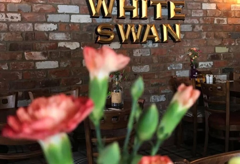 Общежитие The White Swan