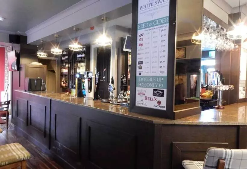 هاستل The White Swan