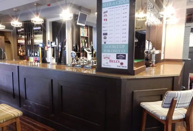 هاستل The White Swan