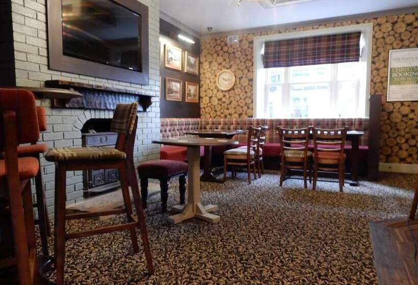 Общежитие The White Swan