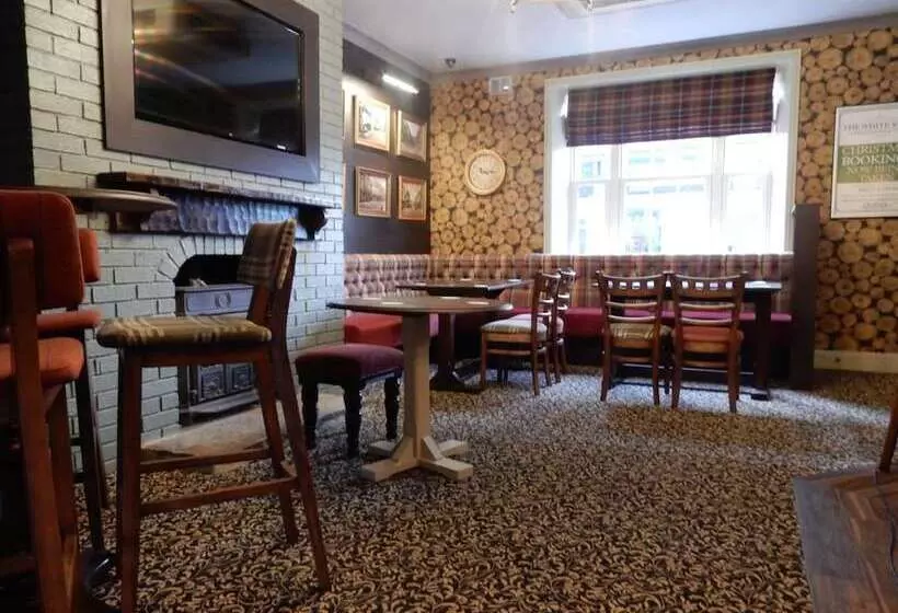 هاستل The White Swan