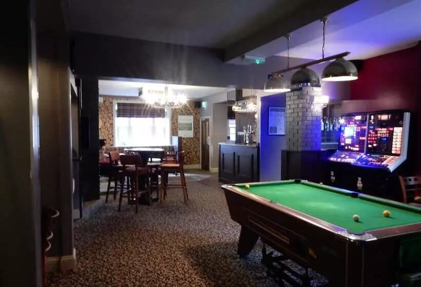 هاستل The White Swan