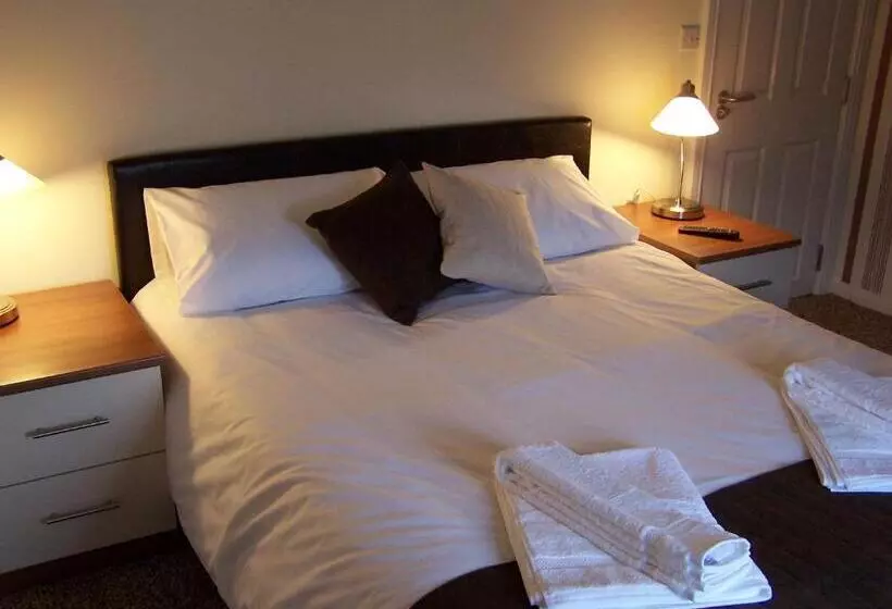 هاستل The White Swan