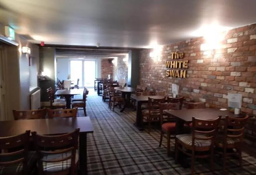 هاستل The White Swan