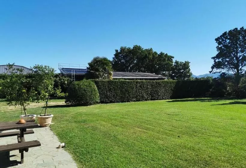 Aamiaismajoitus (B&B) Casale Dei Gelsi