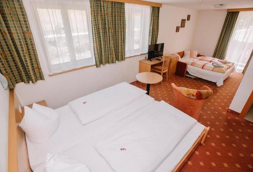 פנסיון Gasthof Haidbach