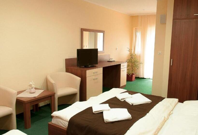 بنسيون Penzion Fortune