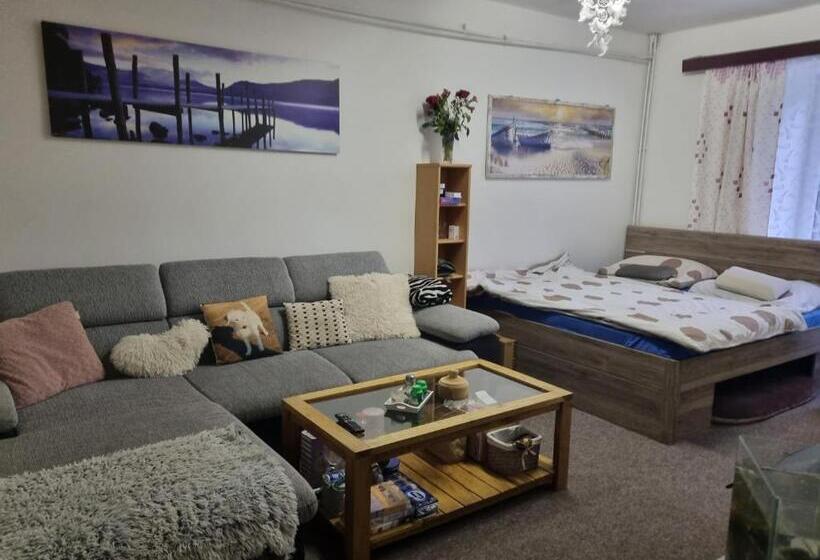 펜션 Penzion Tomy1