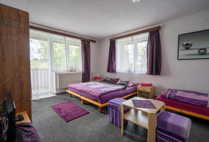 펜션 Penzion Tomy1