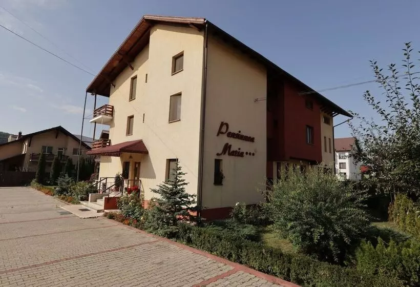 Pensiunea Maria , Floresti