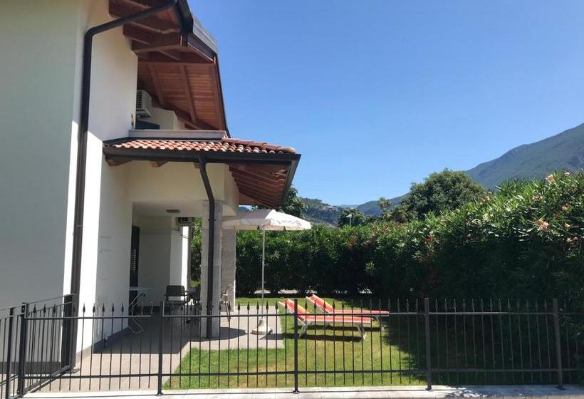 Ab&c Arco Bed And Camping