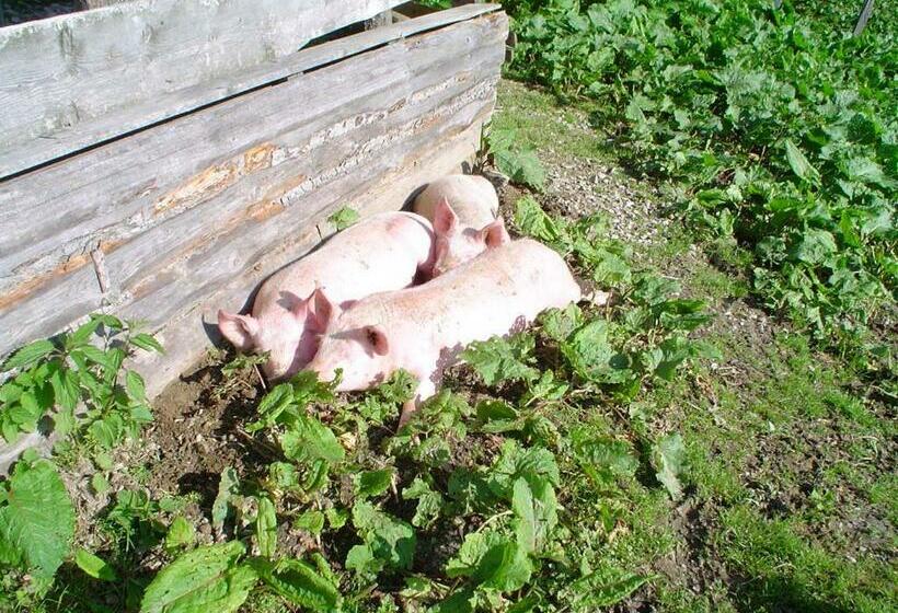 فندق Biobauernhof Aubauer