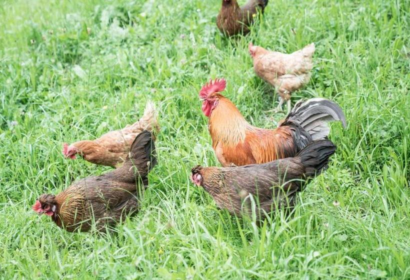 فندق Biobauernhof Aubauer