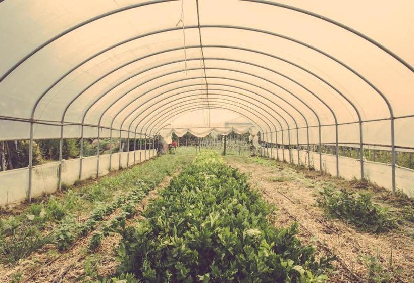 호텔 Borgo Casa Scaparone