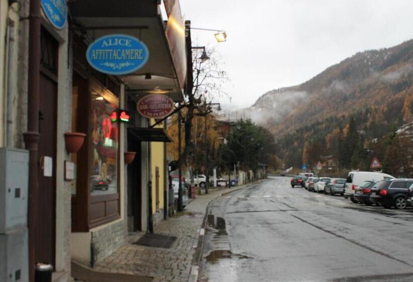 פנסיון Alice Affittacamere