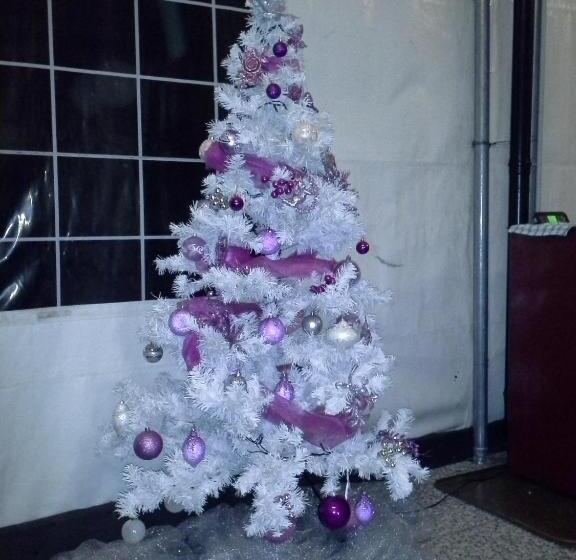 פנסיון Alice Affittacamere