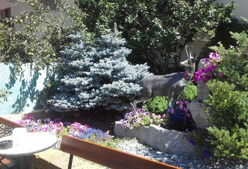 פנסיון Alice Affittacamere