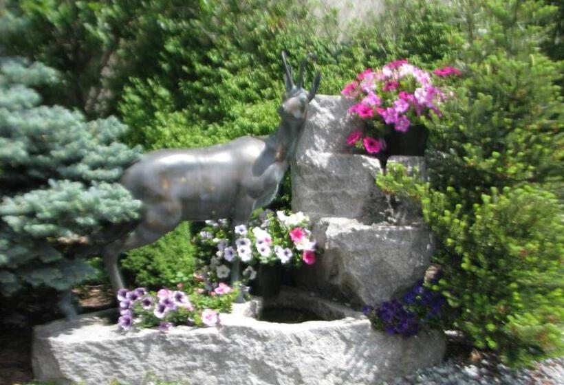 פנסיון Alice Affittacamere