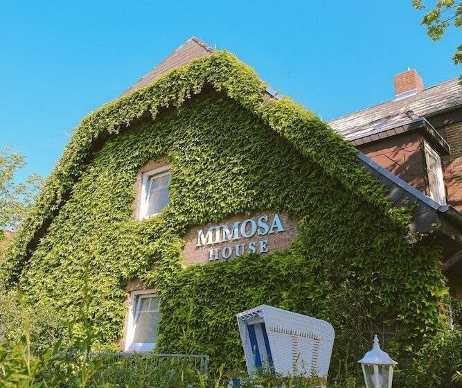 פנסיון Mimosa House