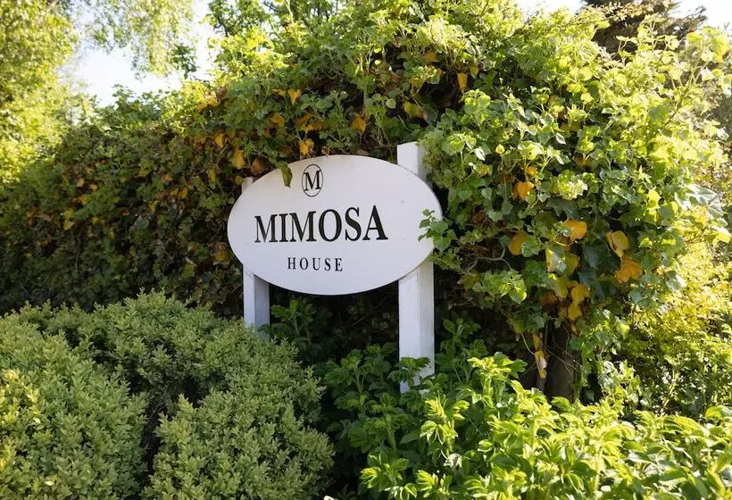 ペンション Mimosa House