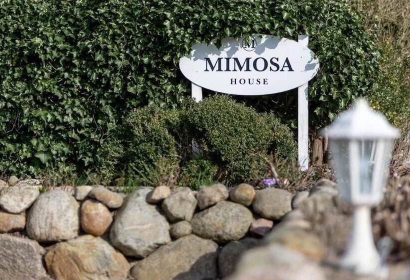 פנסיון Mimosa House