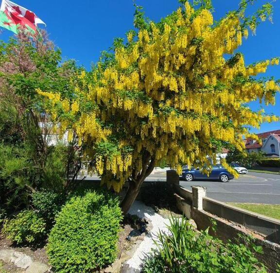 بنسيون Cleave Court Guest House