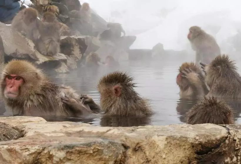 Majatalo Minshuku Miyama