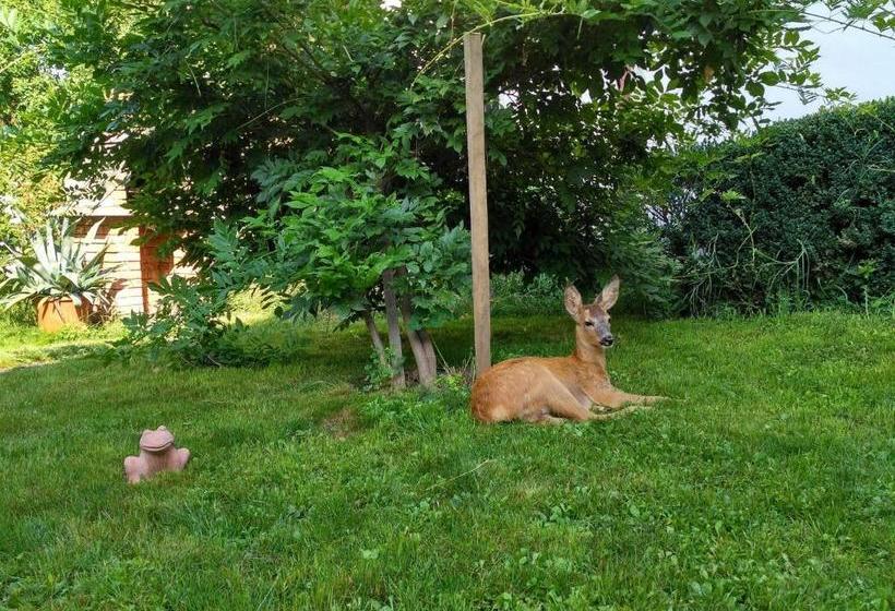 Pension Andra's House