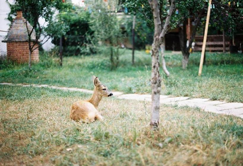 Pension Andra's House