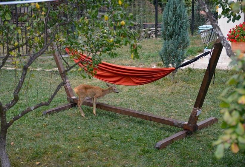 Pension Andra's House