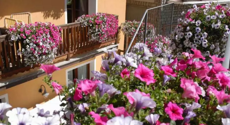 Residence Au Vieux Grenier