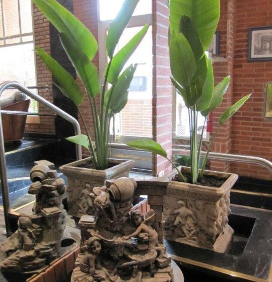 Torre Libertad Departamentos Amoblados