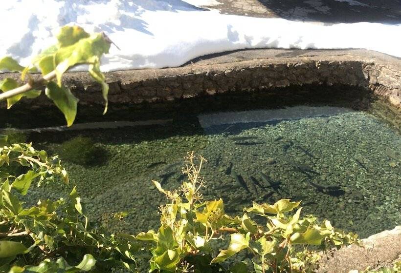 ユースホステル Deva Hotel Restaurant Fischerwirt Inklusive Chiemgau Card