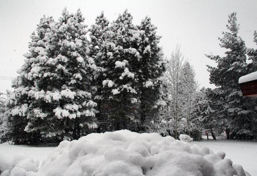 旅馆 Hostería Canela B&b