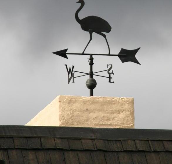 旅馆 Hostería Canela B&b