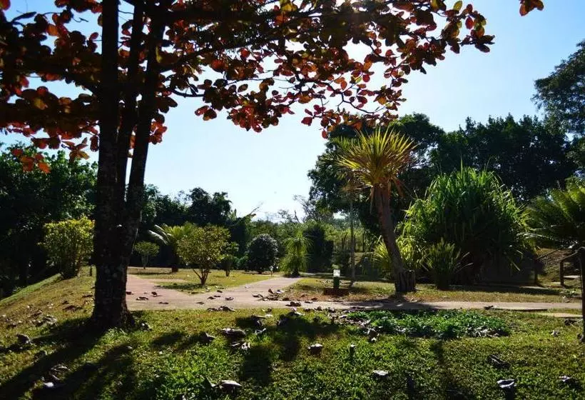 ペンション Pousada Da Lua São Pedro