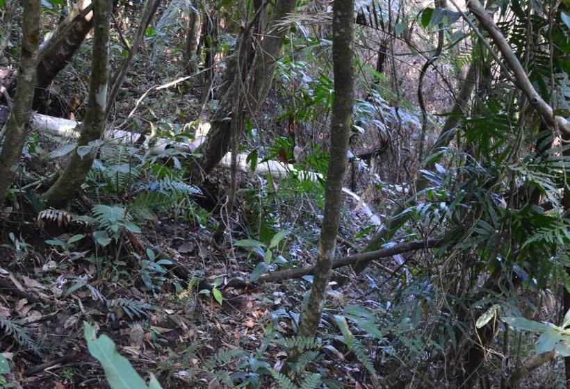 ペンション Pousada Da Lua São Pedro