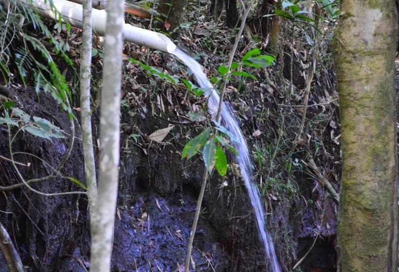 ペンション Pousada Da Lua São Pedro