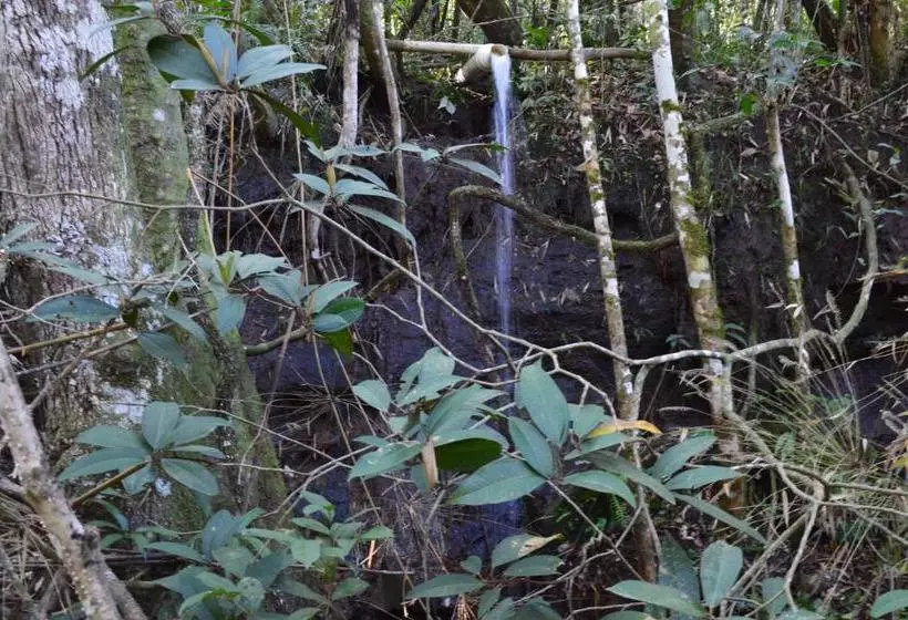 ペンション Pousada Da Lua São Pedro