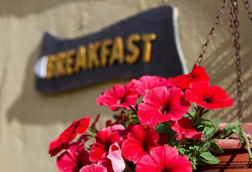 Residence Solenevesila B&b