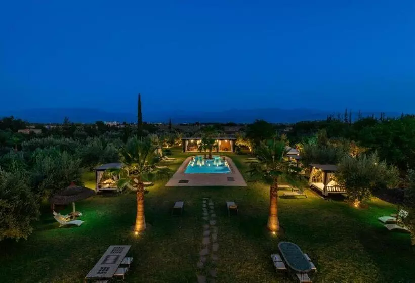 Riad Al Riadinou